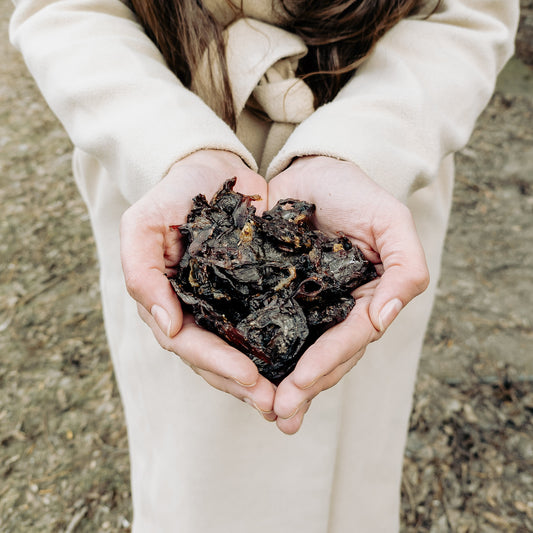100% krůtí srdíčka, sušená — balíček